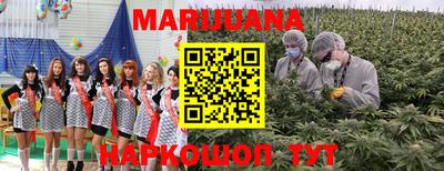 скорость Донской