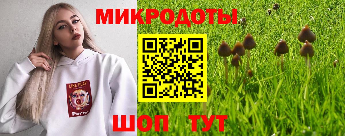 Орск  Галлюциногенные грибы прущие грибы  купить  сайты  Вход с VPN 